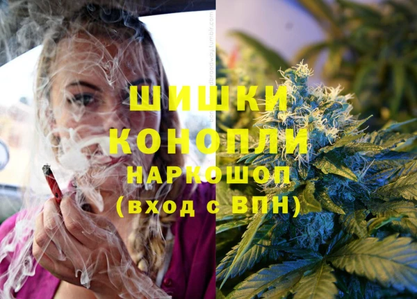 трава Алзамай