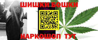 хмурый Бийск