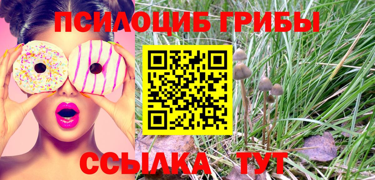 Добрянка  Галлюциногенные грибы MAGIC MUSHROOMS  Галлюциногенные грибы MAGIC MUSHROOMS  Вход с VPN 